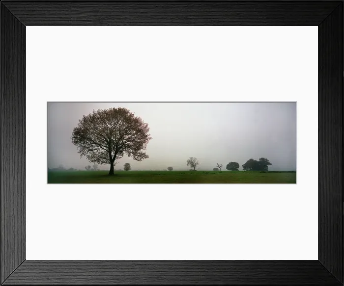 Framed Print : Landscape Panorama Framed Print : Landscape Panorama