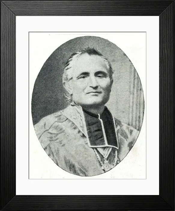 Framed Print : Monseigneur Felix Dupanloup, Bishop of Orleans Framed Print : Monseigneur Felix Dupanloup, Bishop of Orleans