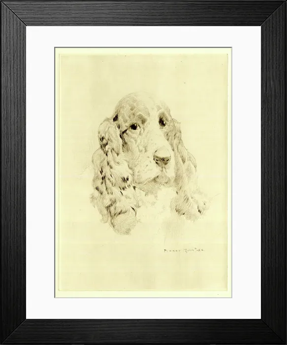 Framed Print : Cocker Spaniel dog's head, by Harry Rountree Framed Print : Cocker Spaniel dog's head, by Harry Rountree
