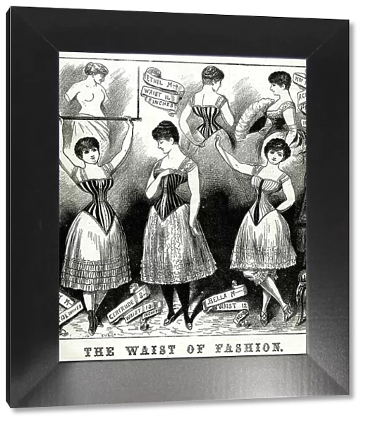 The Waist of Fashion - Corsets