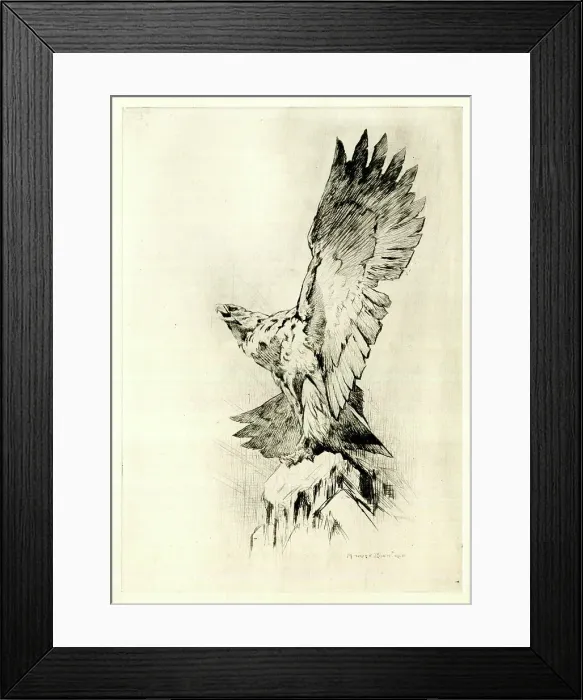 Framed Print : Eagle on a rock with wings outspread, by Harry Rountree Framed Print : Eagle on a rock with wings outspread, by Harry Rountree