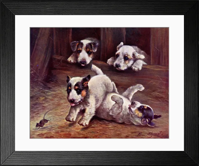 Framed Print : Terrier puppies chasing a mouse - He's Mine Framed Print : Terrier puppies chasing a mouse - He's Mine