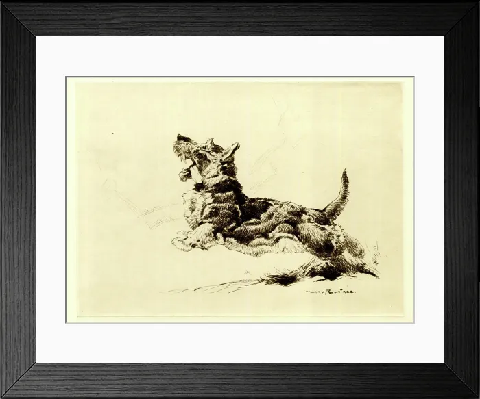 Framed Print : Leaping Dog, by Harry Rountree Framed Print : Leaping Dog, by Harry Rountree