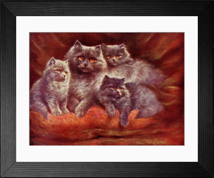 Framed Print : Silver Persian Cats by Lilian Cheviot Framed Print : Silver Persian Cats by Lilian Cheviot