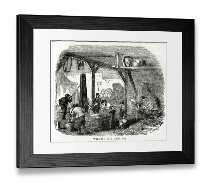 Framed Print : Yarmouth Herring Fishery, Washing the Herrings Framed Print : Yarmouth Herring Fishery, Washing the Herrings