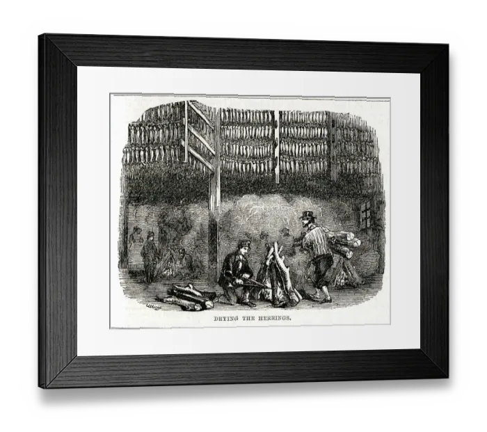 Framed Print : Yarmouth Herring Fishery, Drying the Herrings Framed Print : Yarmouth Herring Fishery, Drying the Herrings