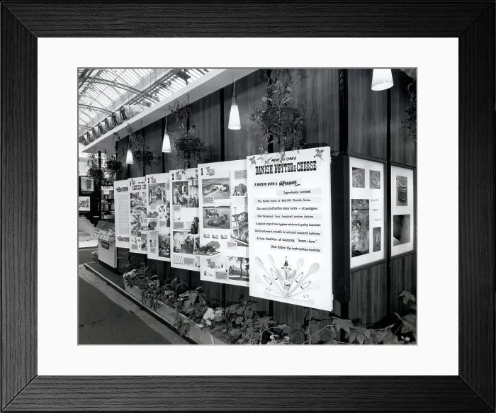 Framed Print : Danish Butter and Cheese display Framed Print : Danish Butter and Cheese display