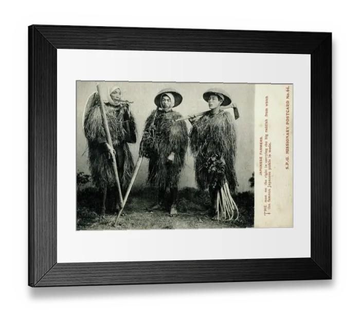 Framed Print : Three Japanese farmers Framed Print : Three Japanese farmers