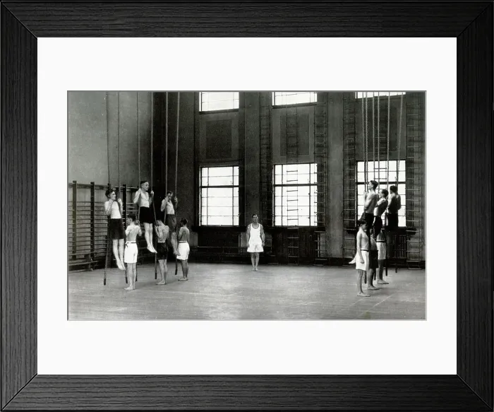 Framed Print : A Branch Gymnasium Framed Print : A Branch Gymnasium