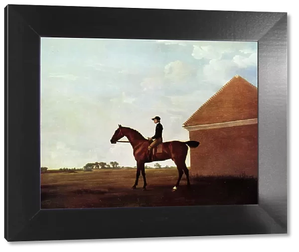 Turf, with Jockey up, at Newmarket, by George Stubbs