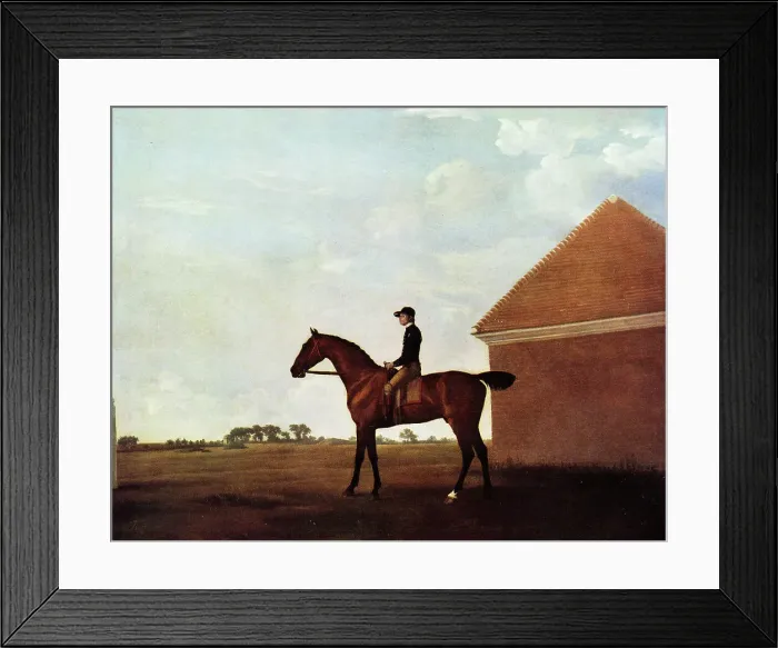Framed Print : Turf, with Jockey up, at Newmarket, by George Stubbs Framed Print : Turf, with Jockey up, at Newmarket, by George Stubbs