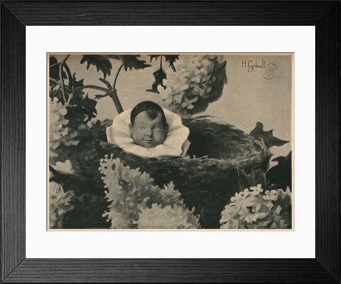 Framed Print : Un Petit Pierrot Dans Son Nid Framed Print : Un Petit Pierrot Dans Son Nid