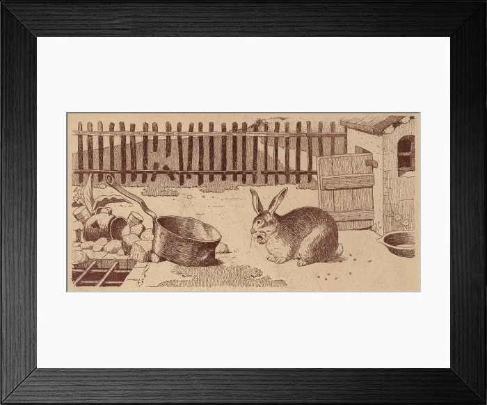 Framed Print : The Domestic Rabbit