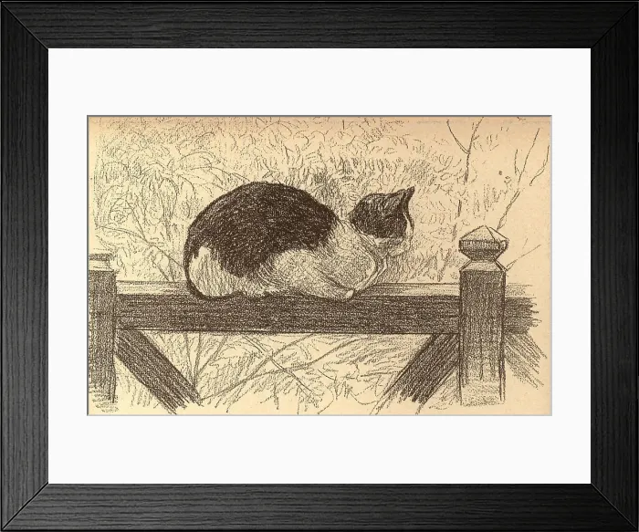 Framed Print : The Cat On The Gate Framed Print : The Cat On The Gate