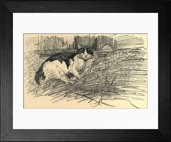 Framed Print : Cat In The Garden Framed Print : Cat In The Garden