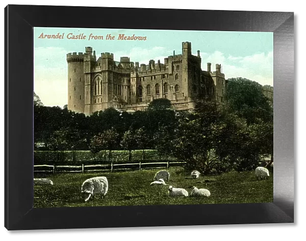 Arundel Castle viewed from the Meadows, Sussex
