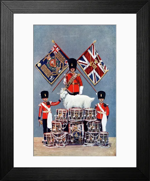 Framed Print : Colours, Drums and Goat Mascot of Royal Welsh Fusiliers Framed Print : Colours, Drums and Goat Mascot of Royal Welsh Fusiliers