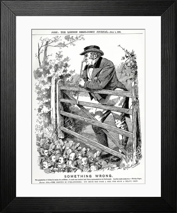 Framed Print : Cartoon, Something Wrong - number of Irish MPs Framed Print : Cartoon, Something Wrong - number of Irish MPs