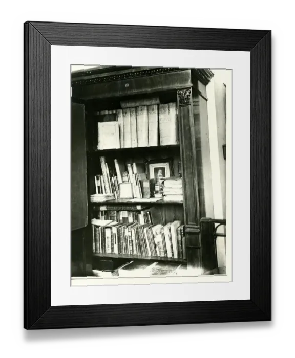 Framed Print : The Pulkovo Astronomical Observatory, St. Petersburg Framed Print : The Pulkovo Astronomical Observatory, St. Petersburg