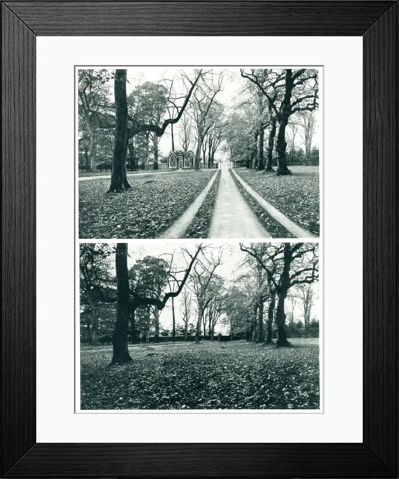 Framed Print : Old Avenue, Culross, Scotland Framed Print : Old Avenue, Culross, Scotland