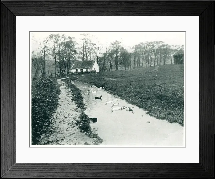 Framed Print : Mill Lade, Scotland Framed Print : Mill Lade, Scotland