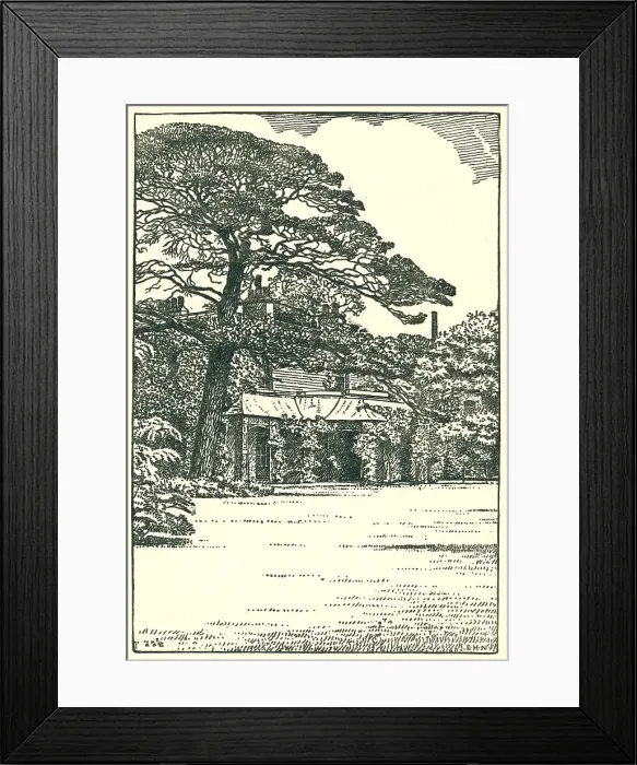 Framed Print : Elm House, Walthamstow Framed Print : Elm House, Walthamstow