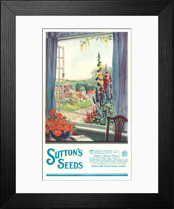 Framed Print : Sutton's Seeds Advertisement Framed Print : Sutton's Seeds Advertisement