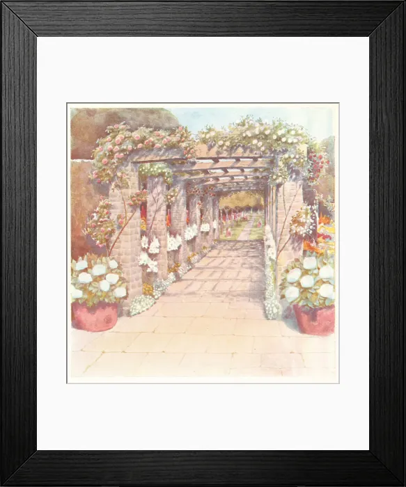 Framed Print : Rose Court Pergola Framed Print : Rose Court Pergola