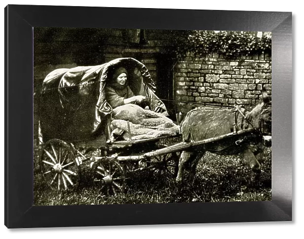 Lady Member of the Caravan Club in donkey tilt cart