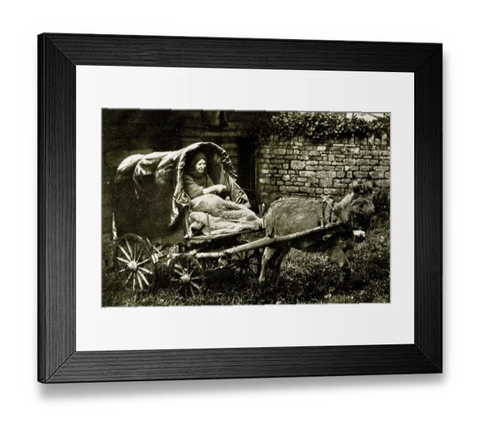 Framed Print : Lady Member of the Caravan Club in donkey tilt cart Framed Print : Lady Member of the Caravan Club in donkey tilt cart