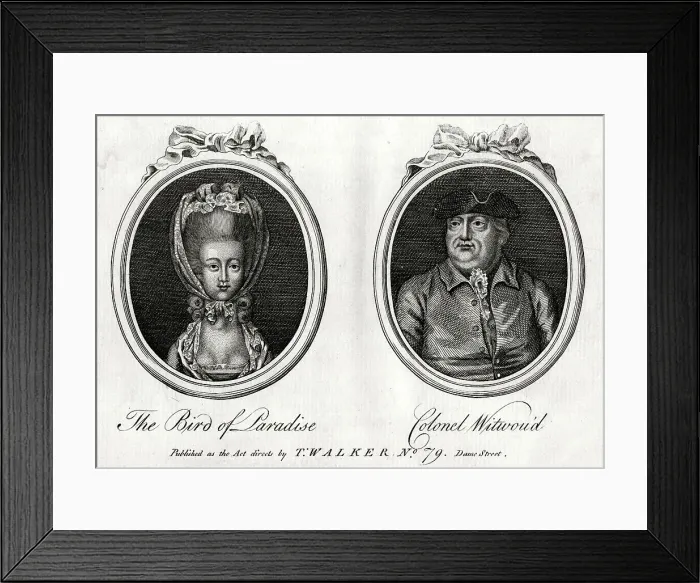 Framed Print : The Bird of Paradise and Colonel Witwou'd Framed Print : The Bird of Paradise and Colonel Witwou'd