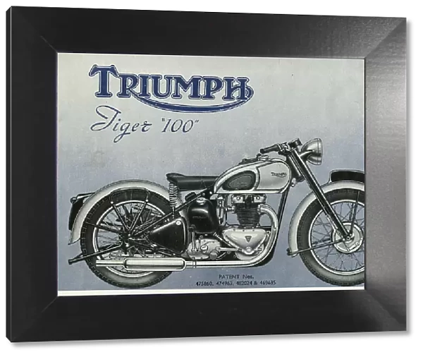 Triumph Tiger 100 Motorbike