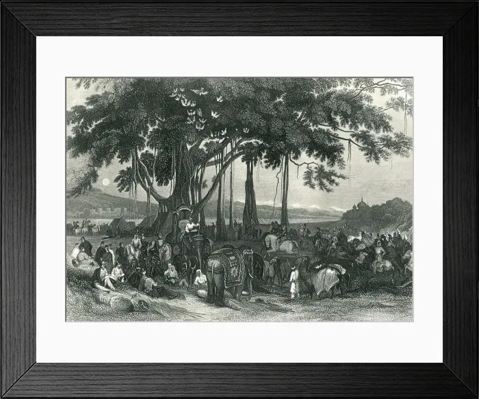 Framed Print : Arrival of a contingent force of Sikh Irregular Cavalry Framed Print : Arrival of a contingent force of Sikh Irregular Cavalry