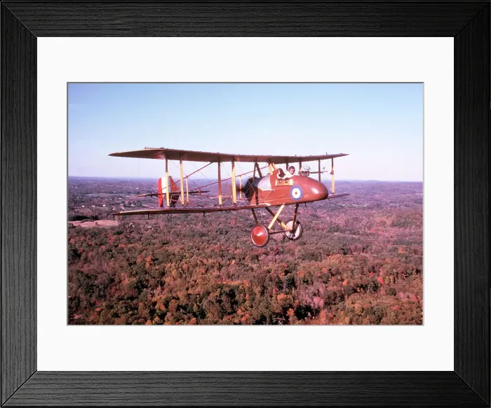 Framed Print : Royal Aircraft Factory F. E. 8 replica Framed Print : Royal Aircraft Factory F. E. 8 replica