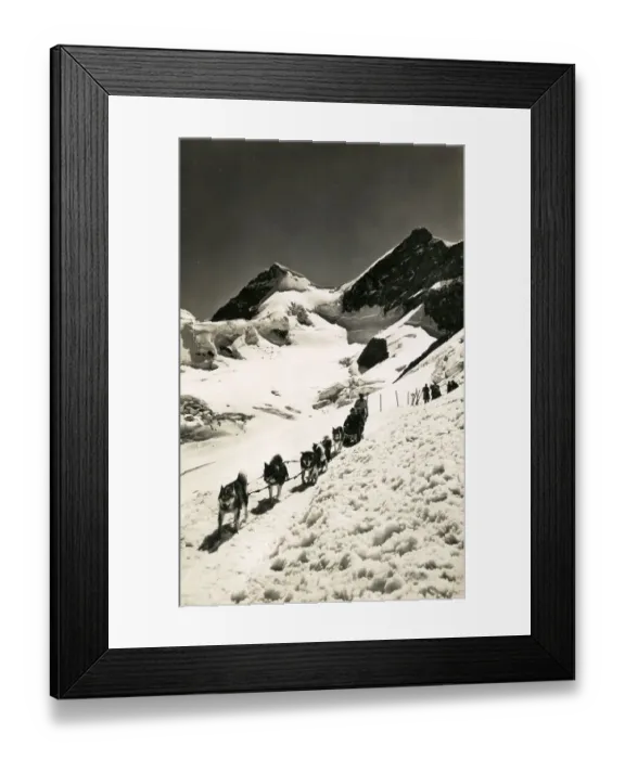 Framed Print : Husky sled dog team on the Jungfraujoch, Switzerland Framed Print : Husky sled dog team on the Jungfraujoch, Switzerland