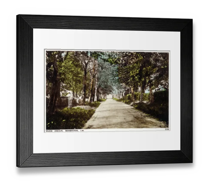 Framed Print : Ducie Avenue, Bembridge, Isle of Wight, Hampshire Framed Print : Ducie Avenue, Bembridge, Isle of Wight, Hampshire