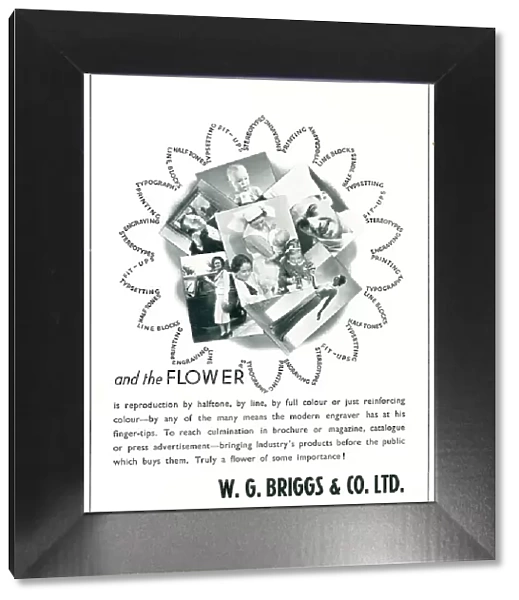 W. G. Briggs & Co. Ltd Advertisement