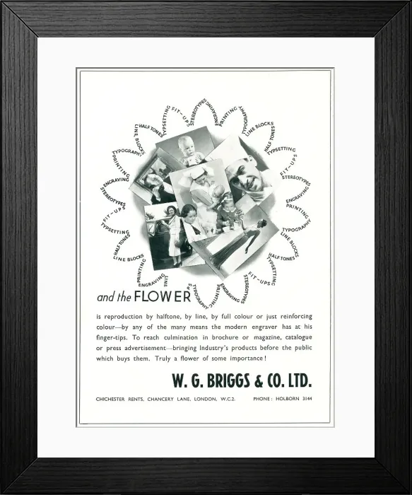 Framed Print : W. G. Briggs & Co. Ltd Advertisement