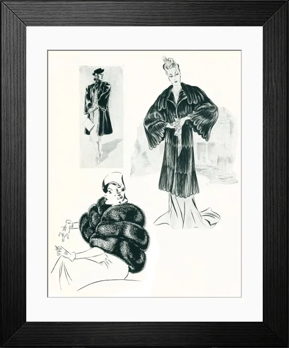 Framed Print : Fashion Furs Illustrations Framed Print : Fashion Furs Illustrations