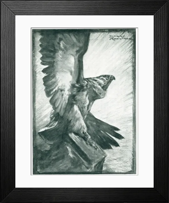 Framed Print : Advertisement Illustration, Bird Of Prey Framed Print : Advertisement Illustration, Bird Of Prey