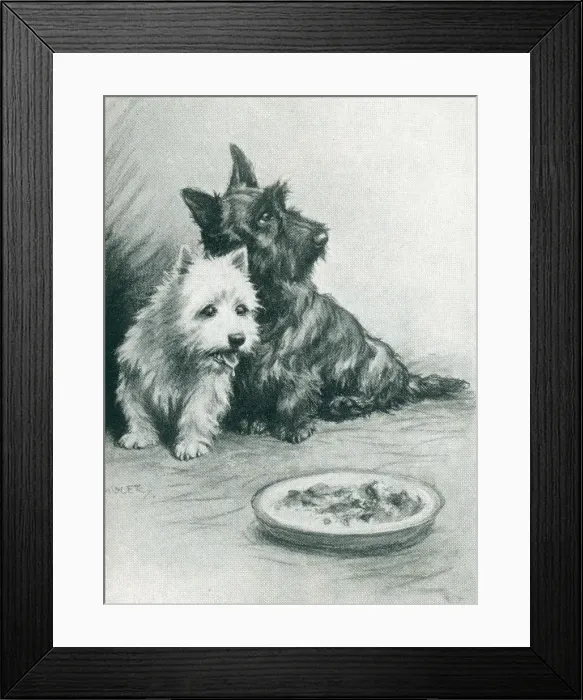 Framed Print : Advertisement Illustration, Westie & Scottie Framed Print : Advertisement Illustration, Westie & Scottie
