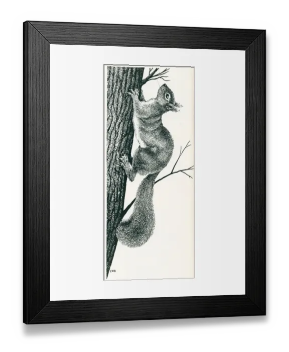 Framed Print : Anglo-American Oil Co Advertisement Illustration Framed Print : Anglo-American Oil Co Advertisement Illustration