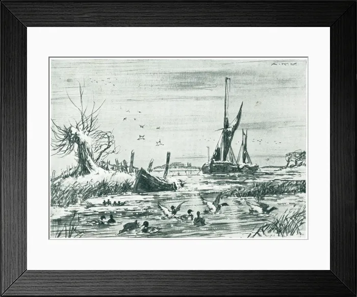 Framed Print : Ducks By The Sea Framed Print : Ducks By The Sea