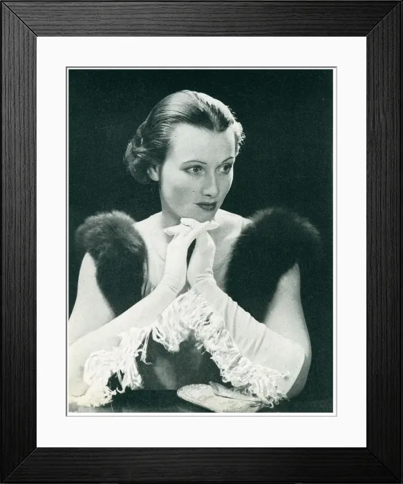 Framed Print : E. Dingle & Co Advertisement Photograph Framed Print : E. Dingle & Co Advertisement Photograph