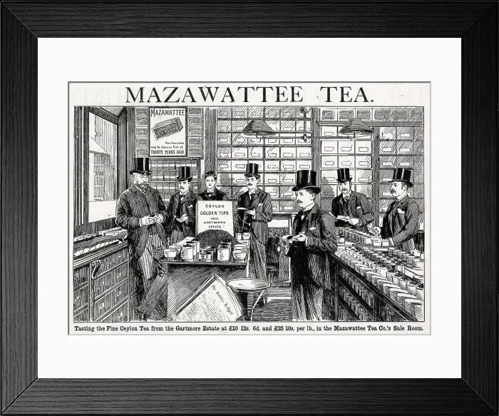 Framed Print : Advert, Mazawattee Tea Co Framed Print : Advert, Mazawattee Tea Co
