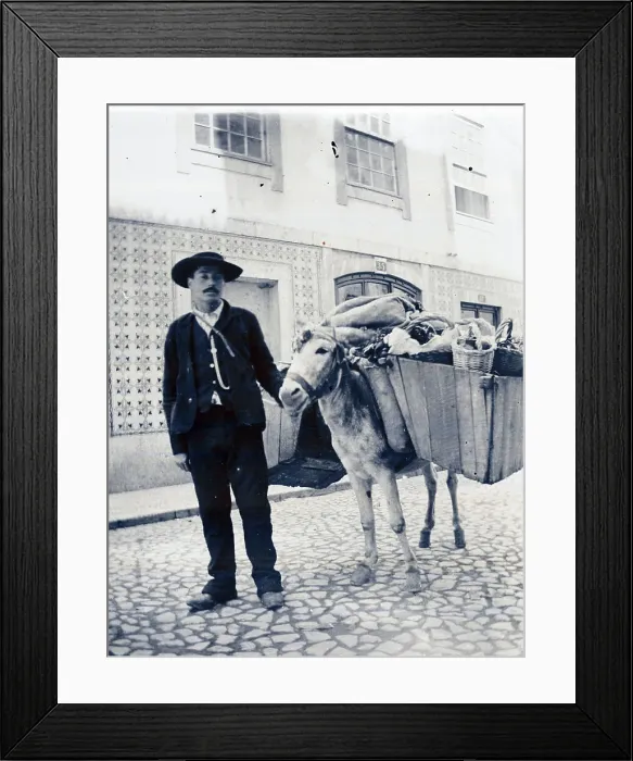 Framed Print : Portuguese fruit and vegetable vendor with donkey, Lisbon Framed Print : Portuguese fruit and vegetable vendor with donkey, Lisbon