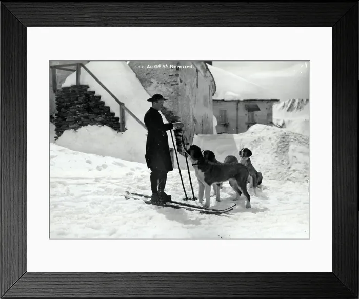 Framed Print : St Bernard dogs and monk on skis, Grand St Bernard Framed Print : St Bernard dogs and monk on skis, Grand St Bernard