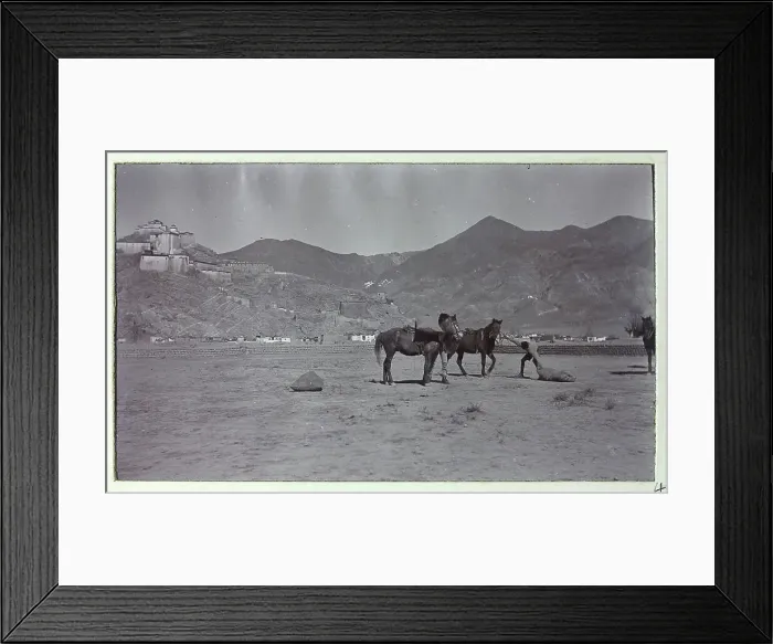 Framed Print : British Military Campaign to Tibet - VC race Framed Print : British Military Campaign to Tibet - VC race