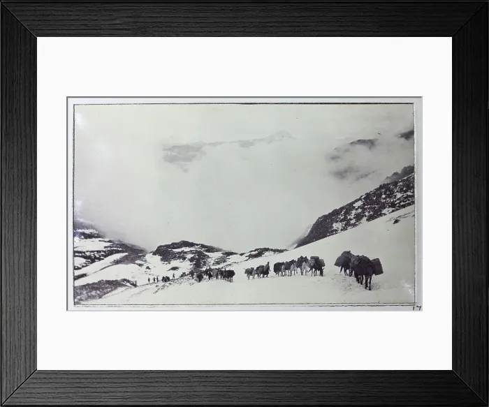 Framed Print : Jelep La Pass in the snow, between Sikkim, India, and Tibet, from a fascinating album which reveals new details on a little-known campaign in which a British military force brushed aside Tibetan defences to capture Lhasa, in 1904 Framed Print : Jelep La Pass in the snow, between Sikkim, India, and Tibet, from a fascinating album which reveals new details on a little-known campaign in which a British military force brushed aside Tibetan defences to capture Lhasa, in 1904