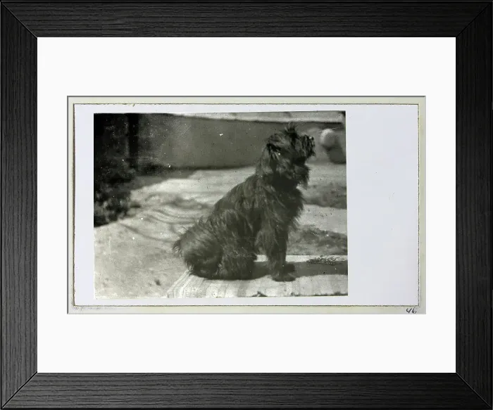 Framed Print : British Military Campaign to Tibet Framed Print : British Military Campaign to Tibet